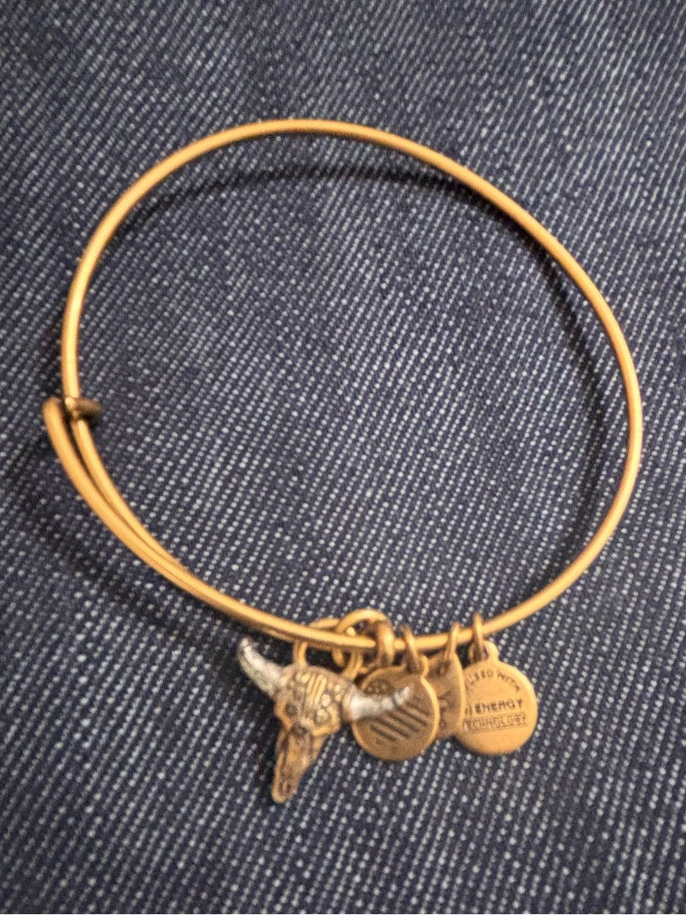 Alex and Ani Gold Tone Wire Bangle Bracelet with Bull Skull Charms